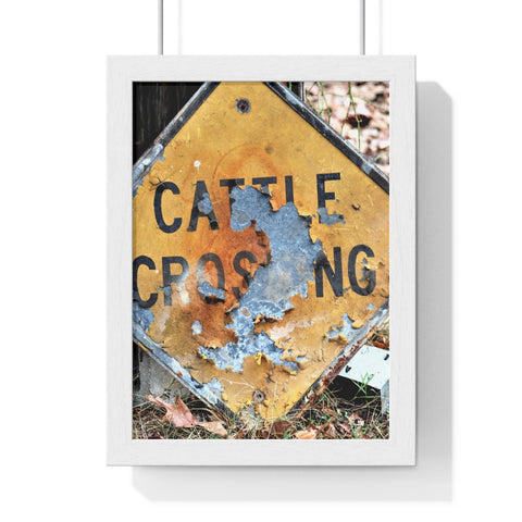 Cattle Crossing