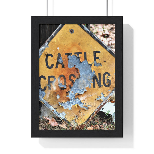 Cattle Crossing