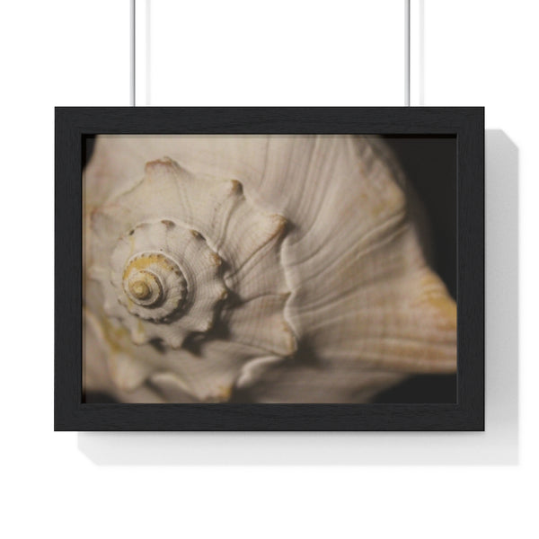 Fibonacci Shell
