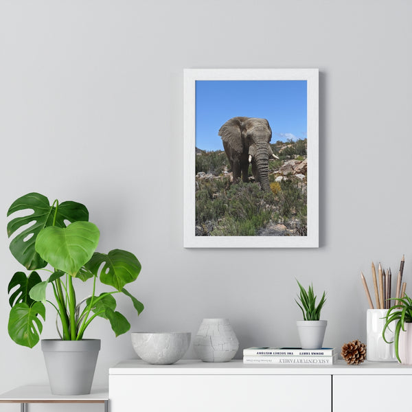 African Elephant