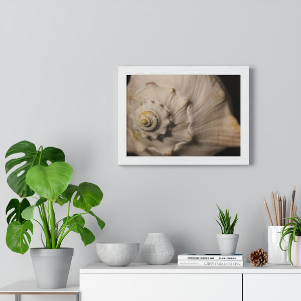 Fibonacci Shell