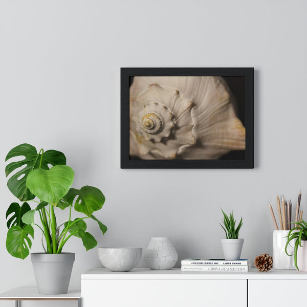 Fibonacci Shell