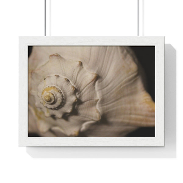 Fibonacci Shell