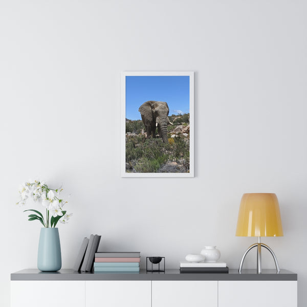 African Elephant