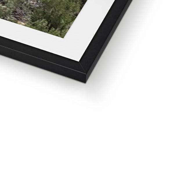 African Elephant Framed & Mounted Print